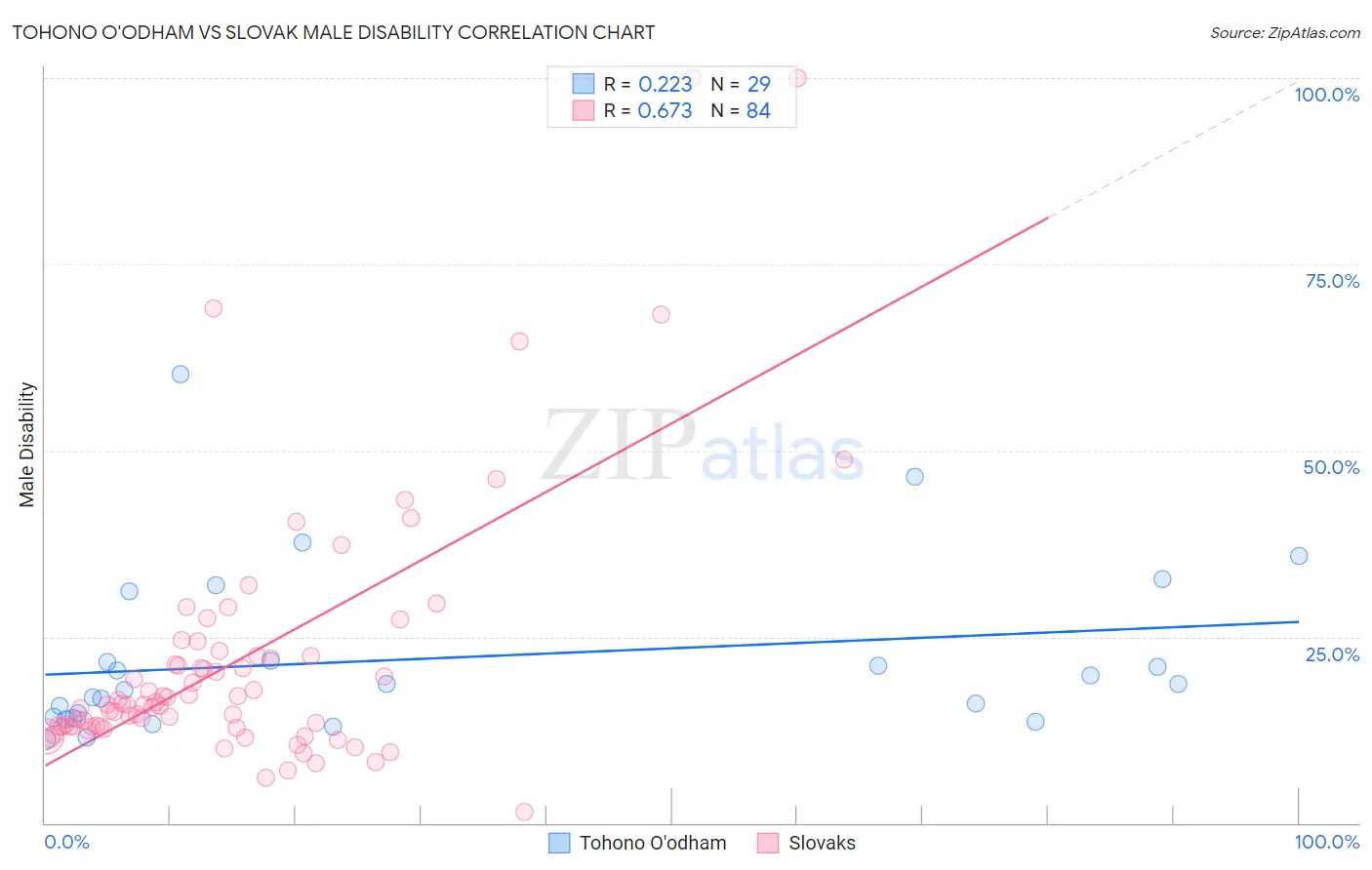 Tohono O'odham vs Slovak Male Disability