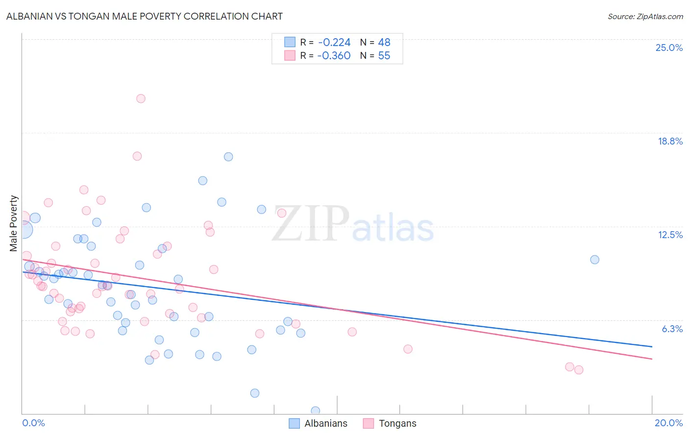 Albanian vs Tongan Male Poverty