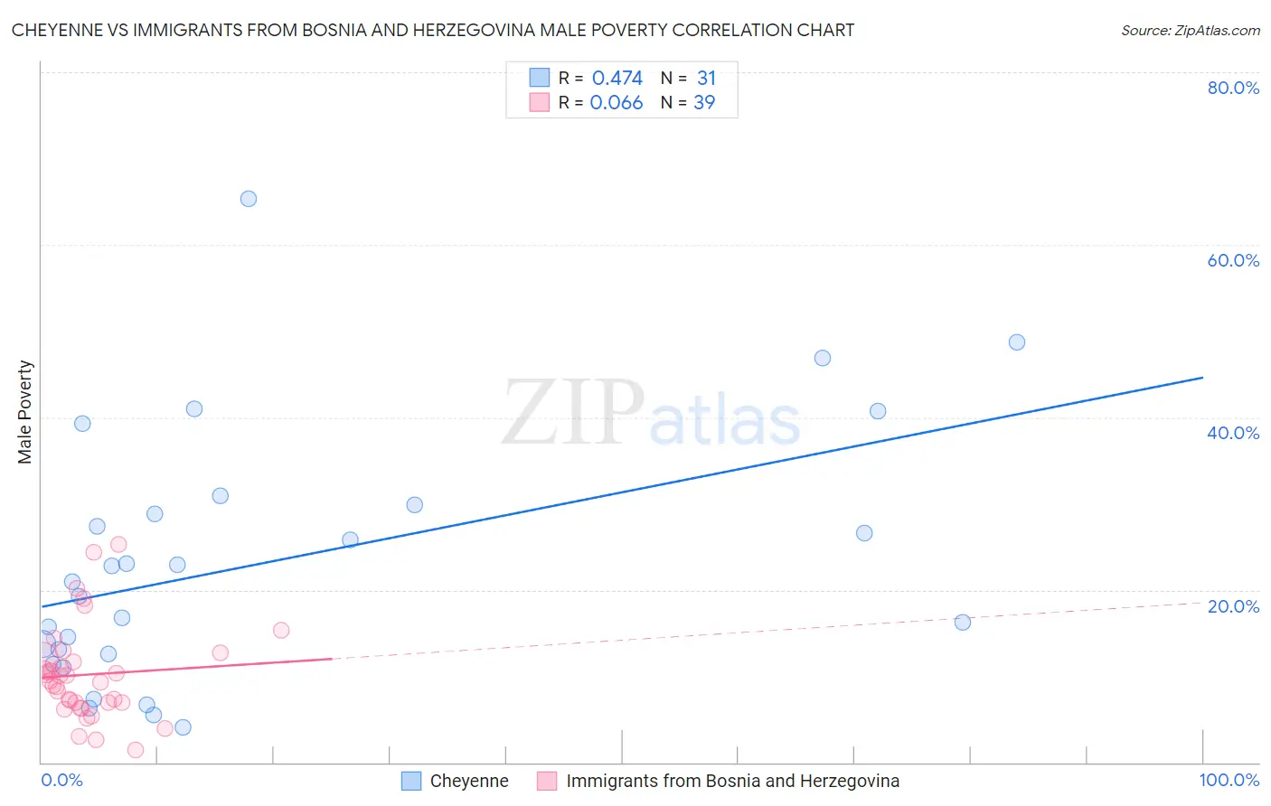 Cheyenne vs Immigrants from Bosnia and Herzegovina Male Poverty