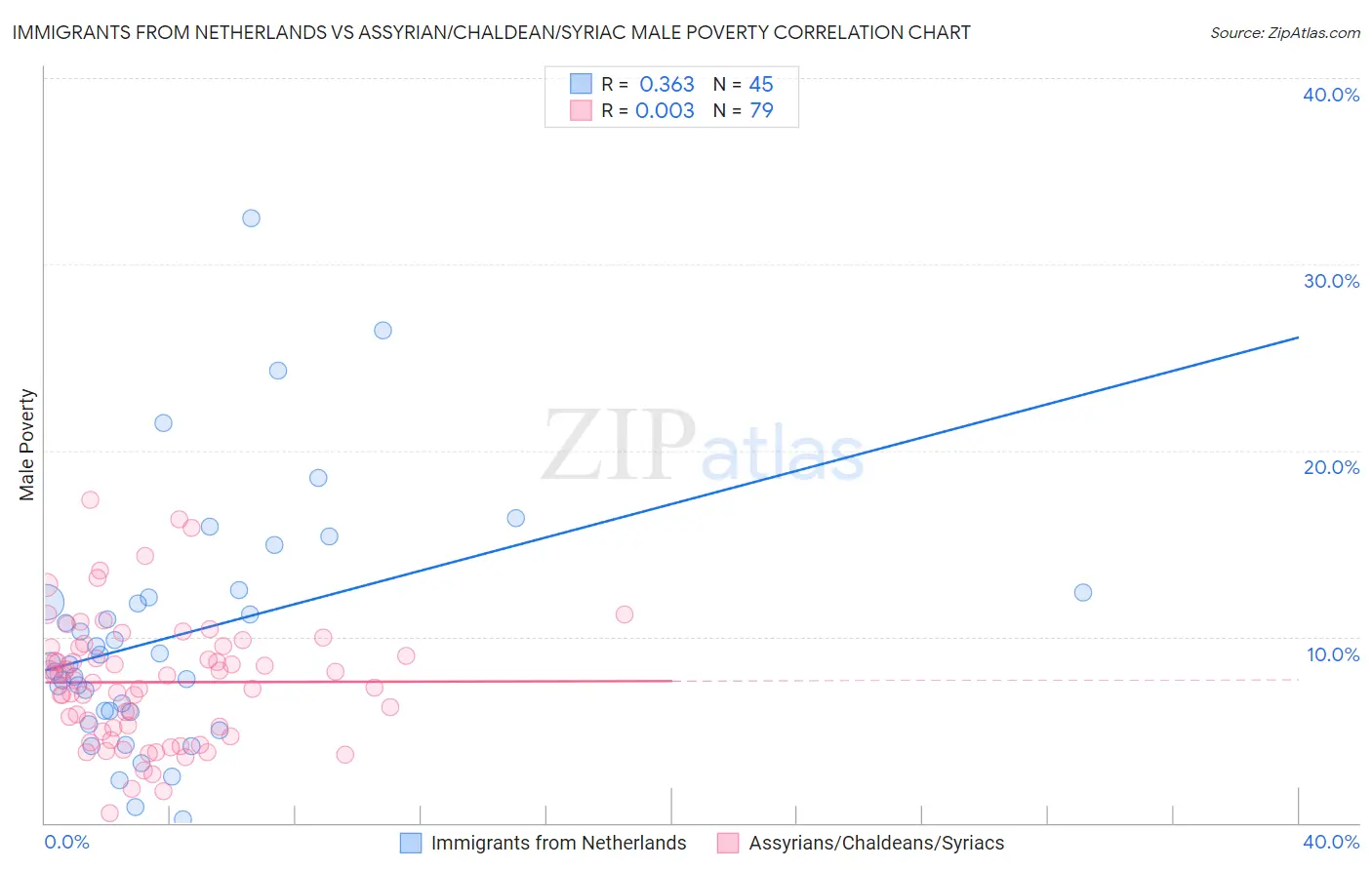 Immigrants from Netherlands vs Assyrian/Chaldean/Syriac Male Poverty