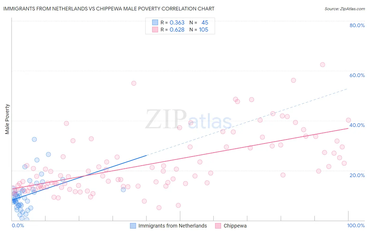 Immigrants from Netherlands vs Chippewa Male Poverty