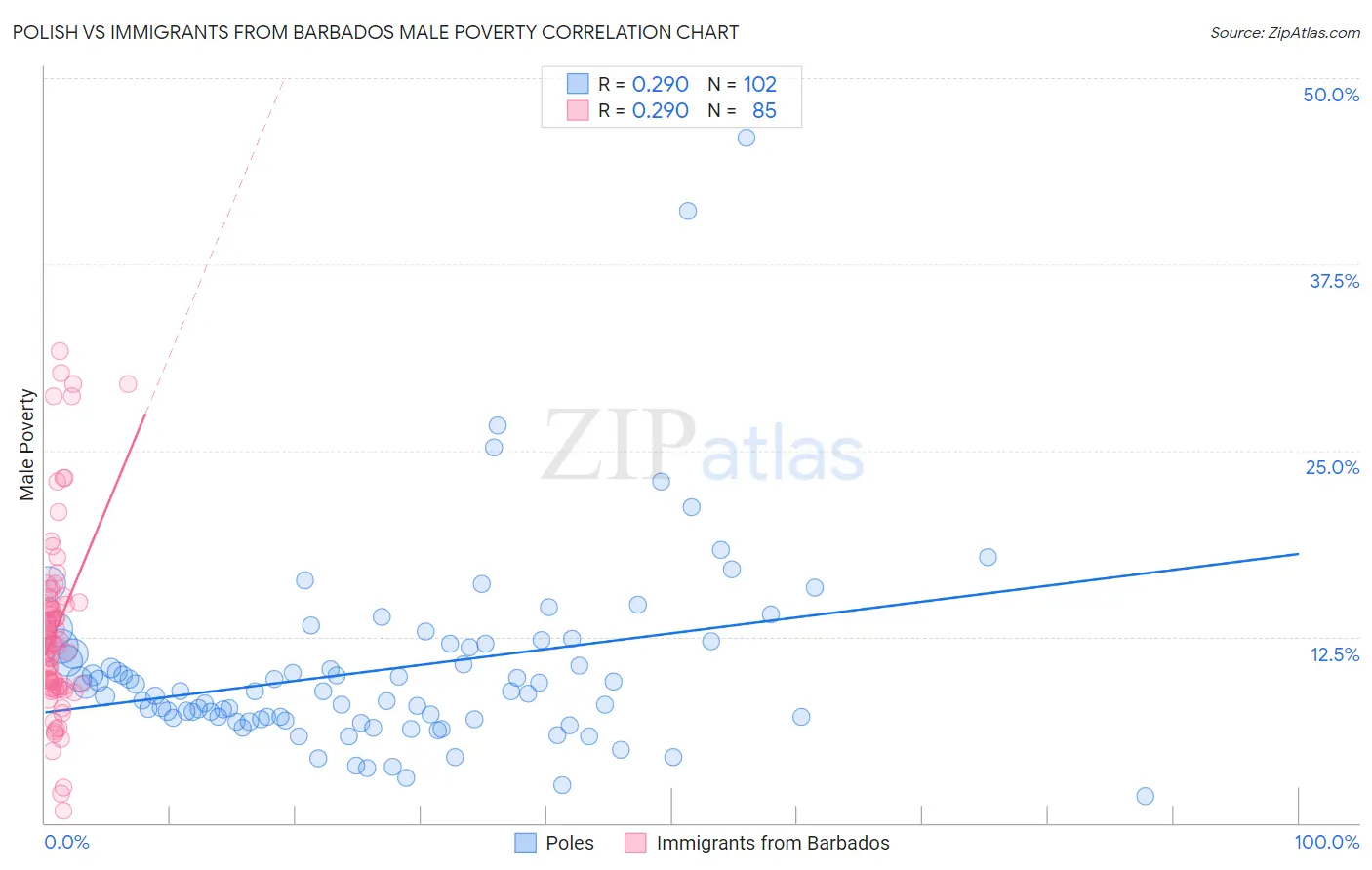 Polish vs Immigrants from Barbados Male Poverty