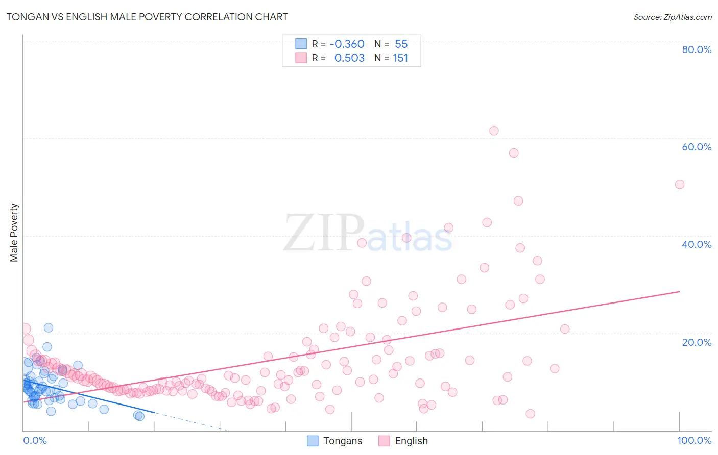 Tongan vs English Male Poverty