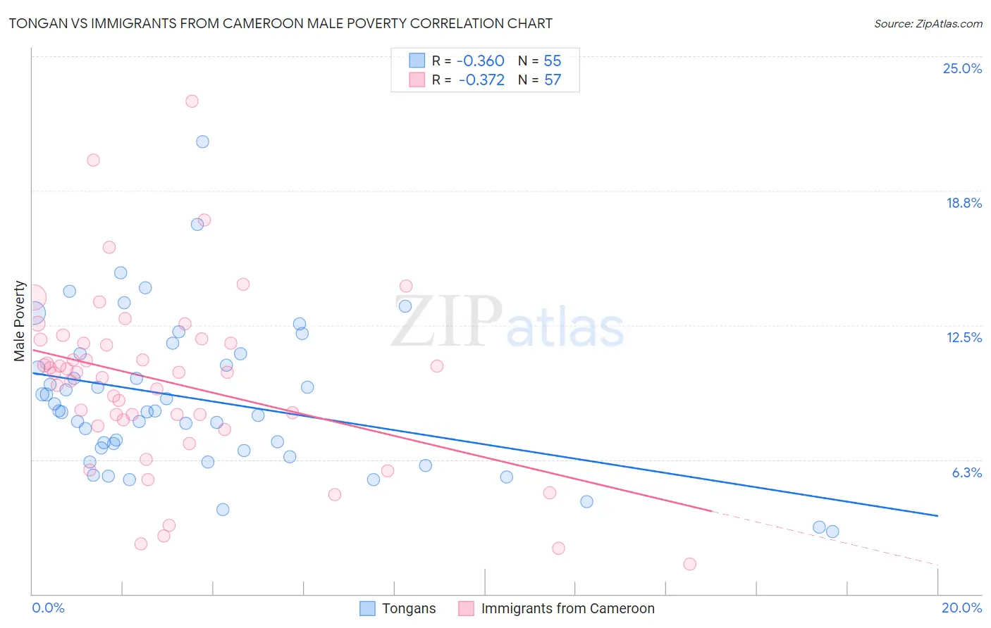 Tongan vs Immigrants from Cameroon Male Poverty