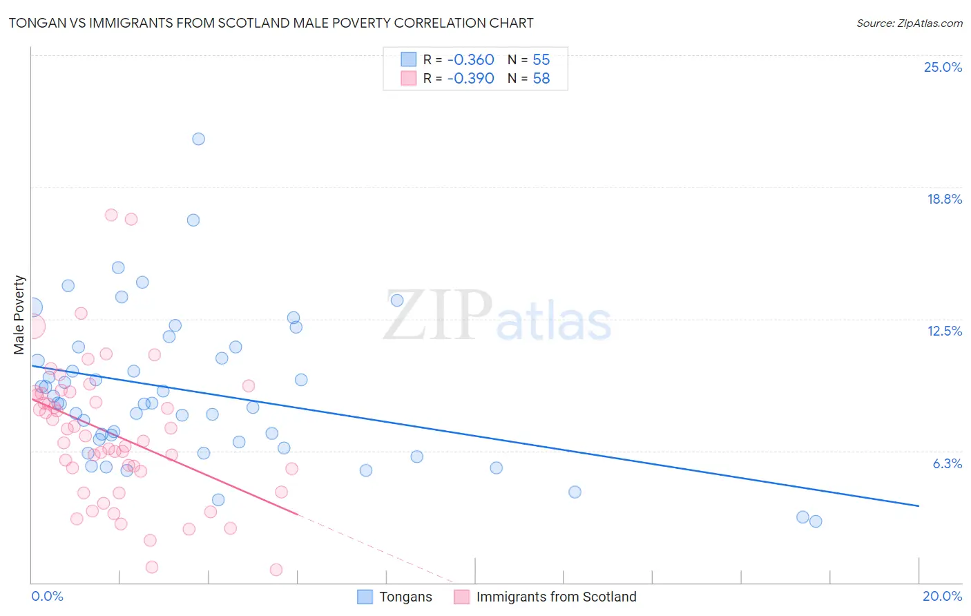 Tongan vs Immigrants from Scotland Male Poverty