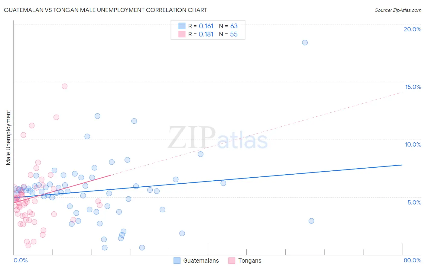 Guatemalan vs Tongan Male Unemployment