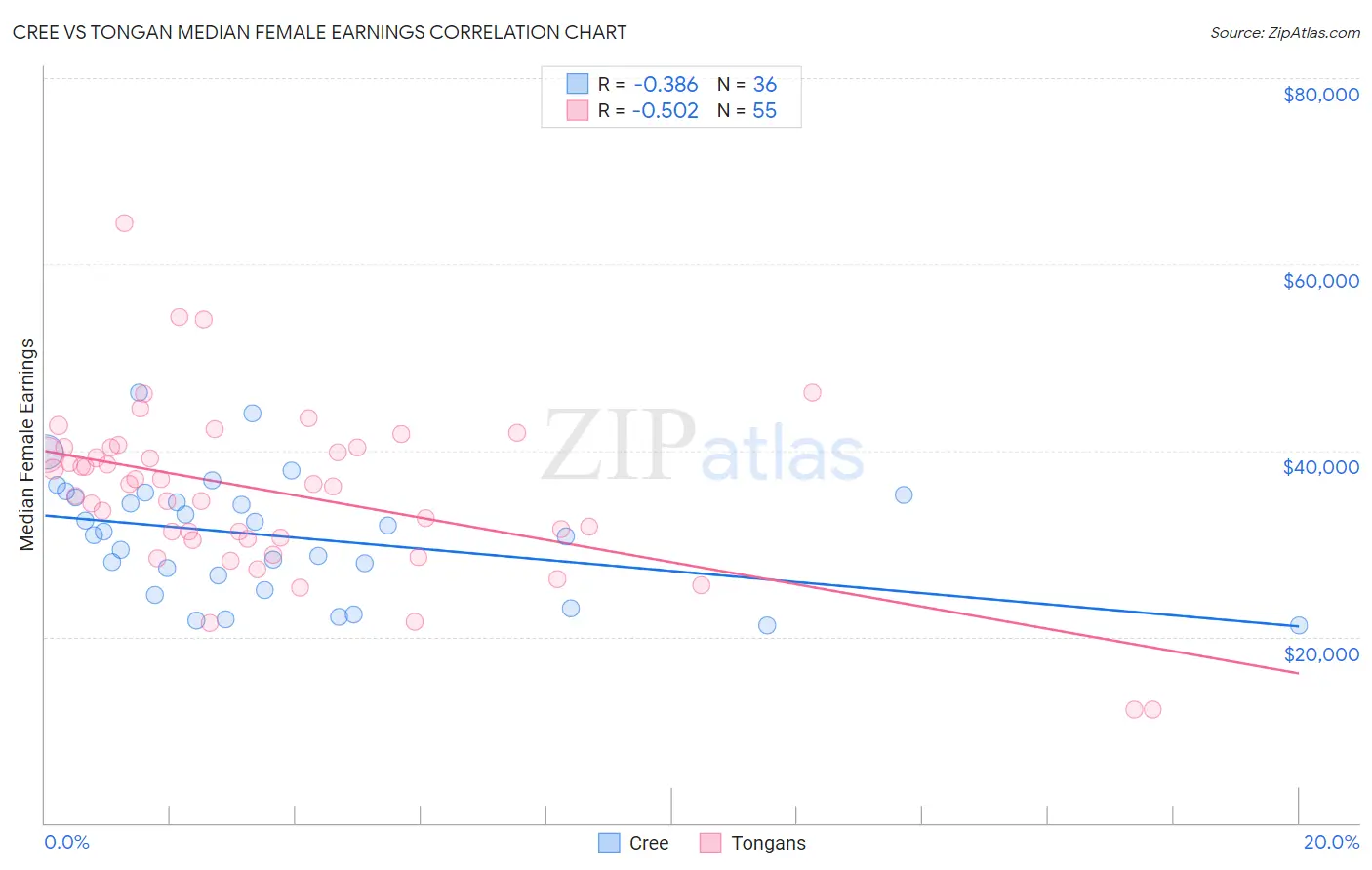 Cree vs Tongan Median Female Earnings