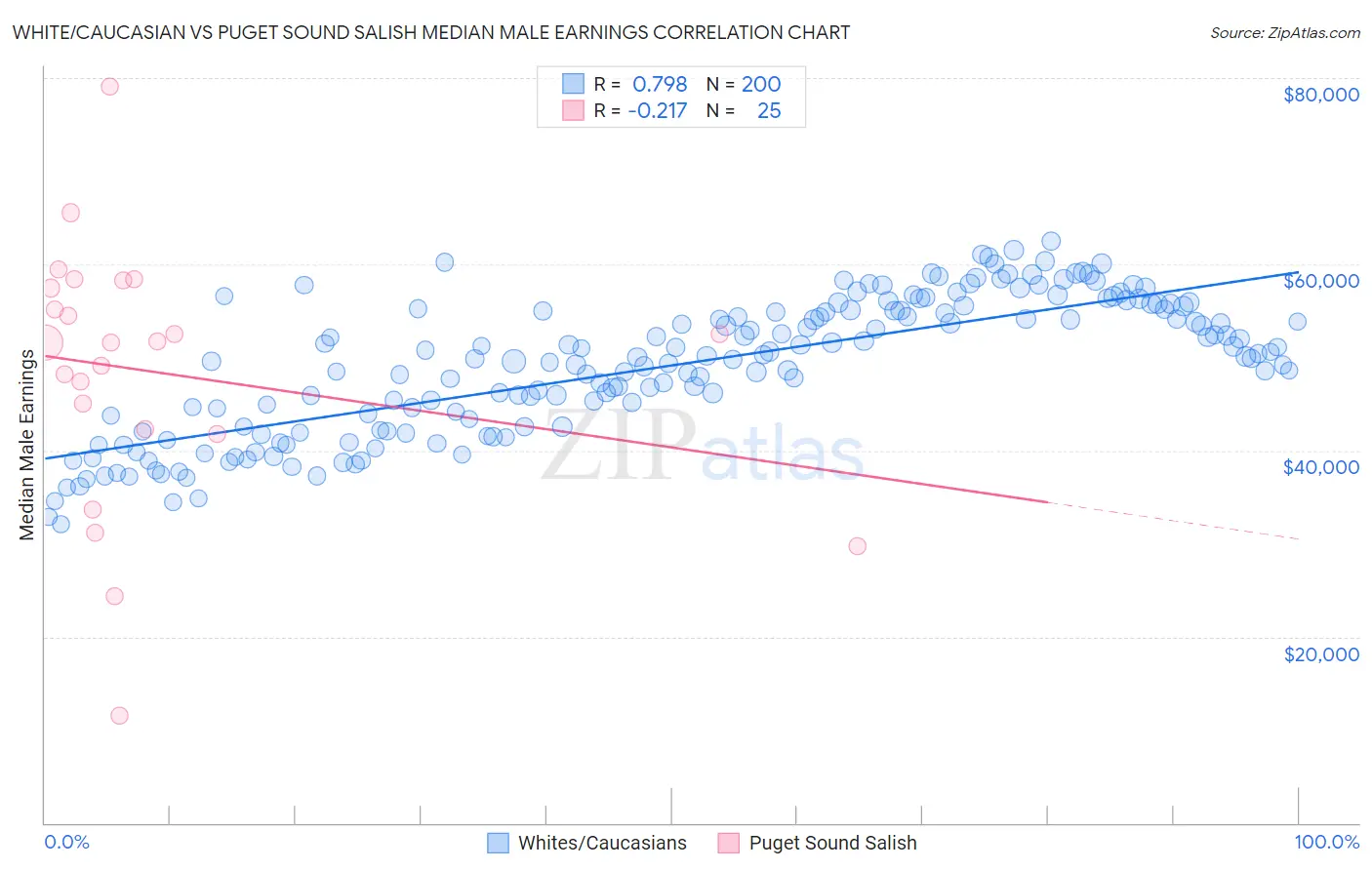 White/Caucasian vs Puget Sound Salish Median Male Earnings