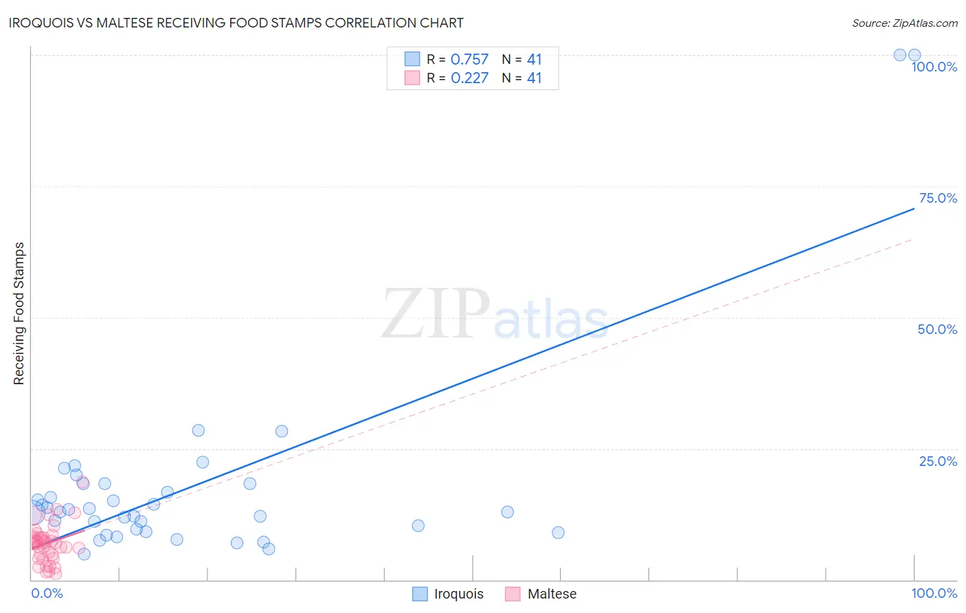 Iroquois vs Maltese Receiving Food Stamps
