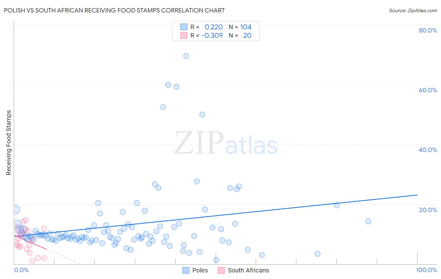 Polish vs South African Receiving Food Stamps