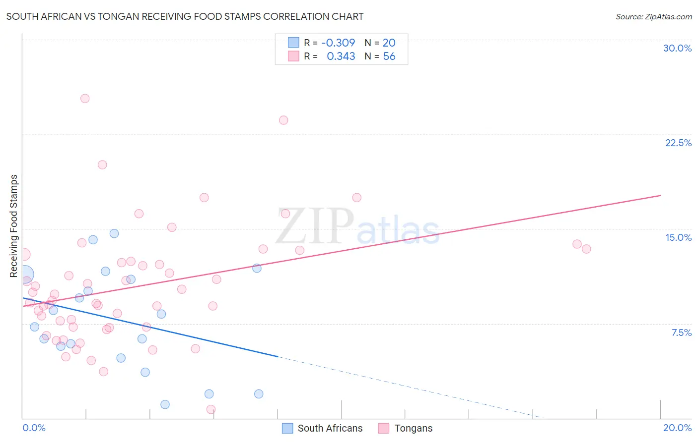South African vs Tongan Receiving Food Stamps