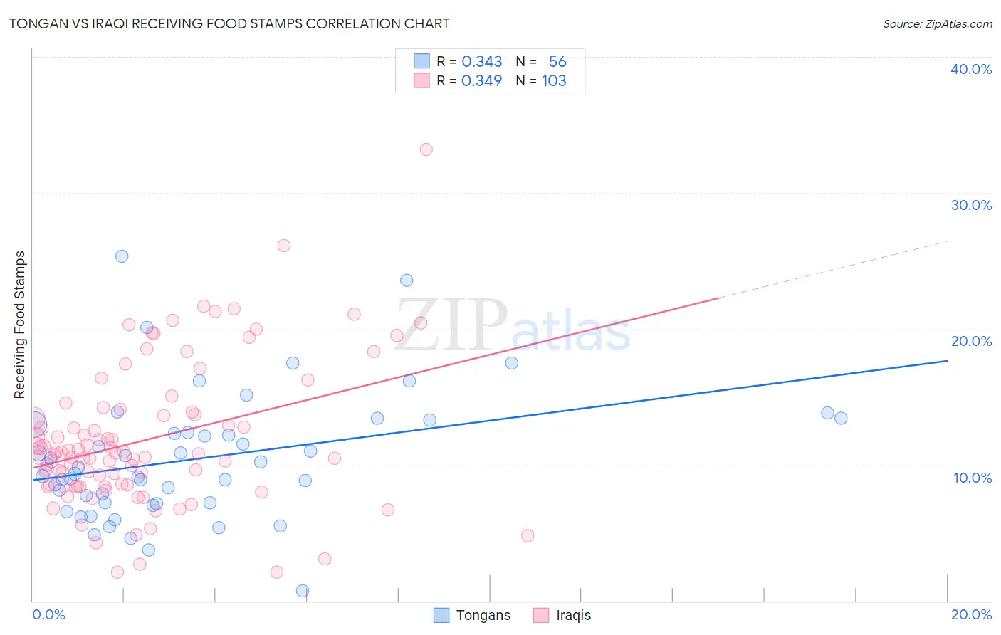 Tongan vs Iraqi Receiving Food Stamps