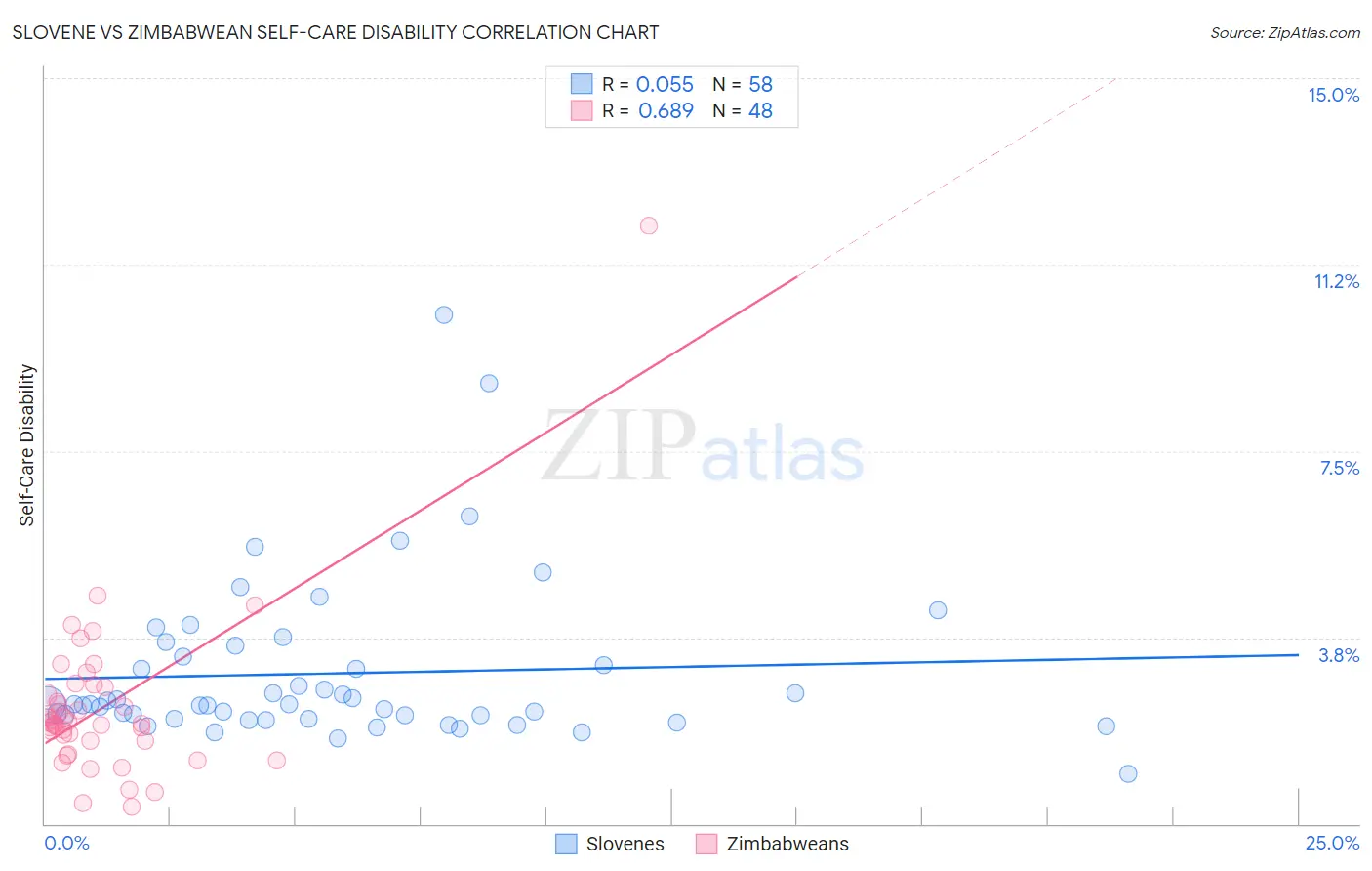 Slovene vs Zimbabwean Self-Care Disability