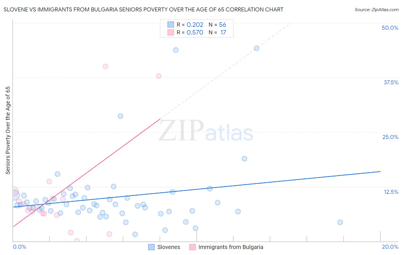 Slovene vs Immigrants from Bulgaria Seniors Poverty Over the Age of 65