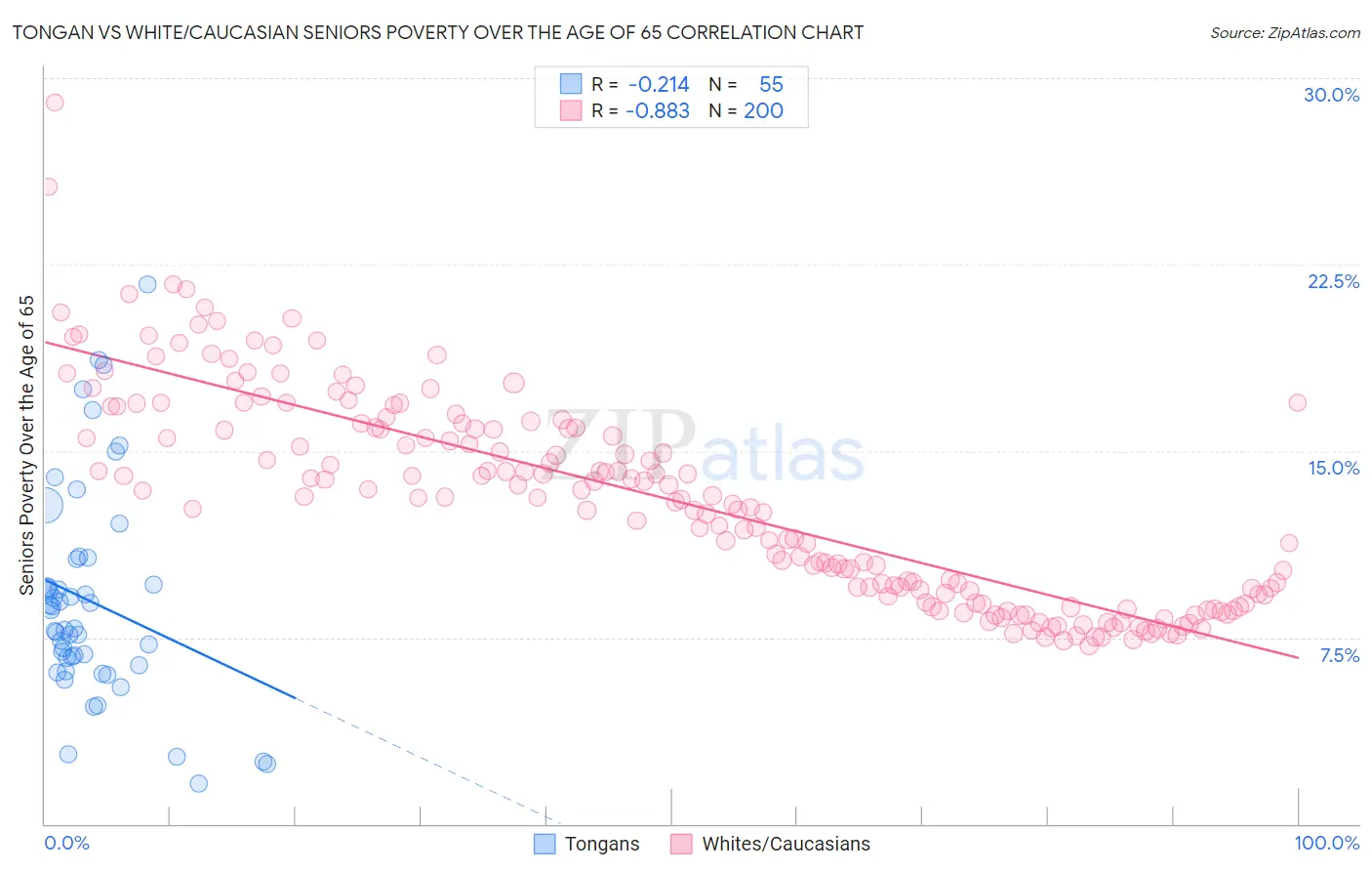 Tongan vs White/Caucasian Seniors Poverty Over the Age of 65