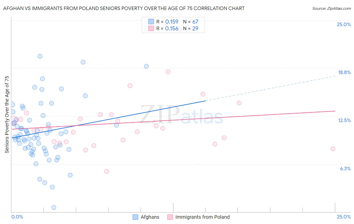 Afghan vs Immigrants from Poland Seniors Poverty Over the Age of 75