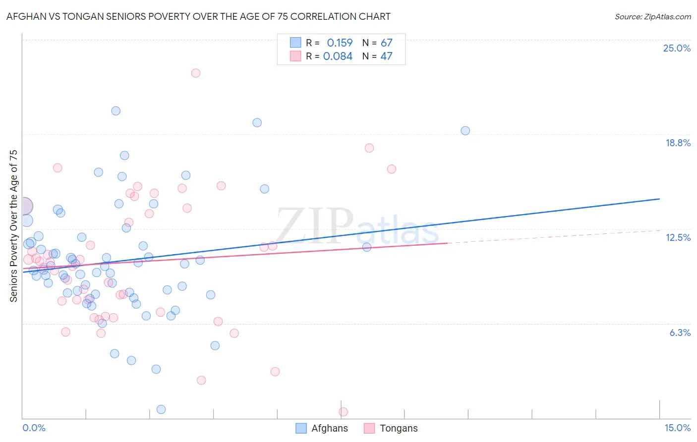 Afghan vs Tongan Seniors Poverty Over the Age of 75