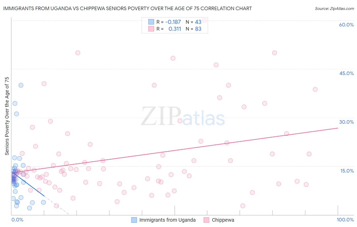 Immigrants from Uganda vs Chippewa Seniors Poverty Over the Age of 75