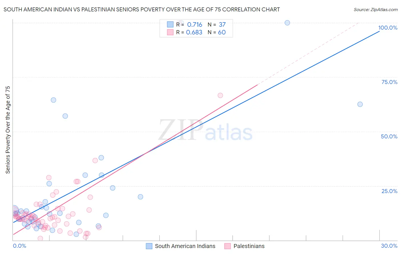 South American Indian vs Palestinian Seniors Poverty Over the Age of 75