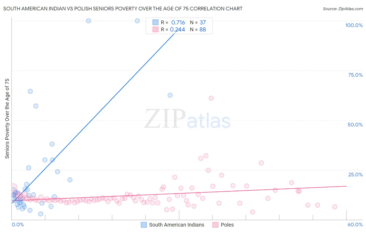 South American Indian vs Polish Seniors Poverty Over the Age of 75