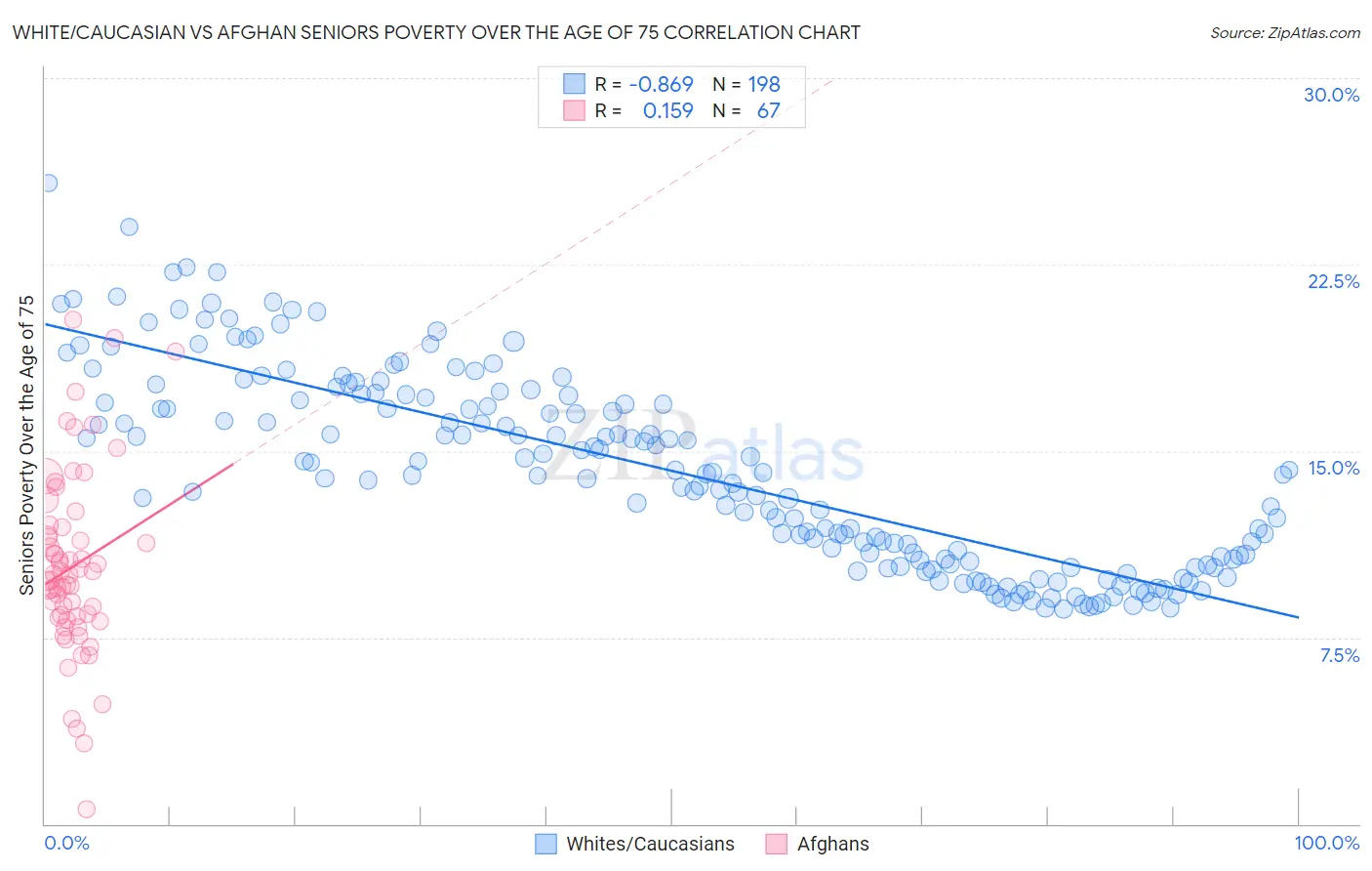 White/Caucasian vs Afghan Seniors Poverty Over the Age of 75