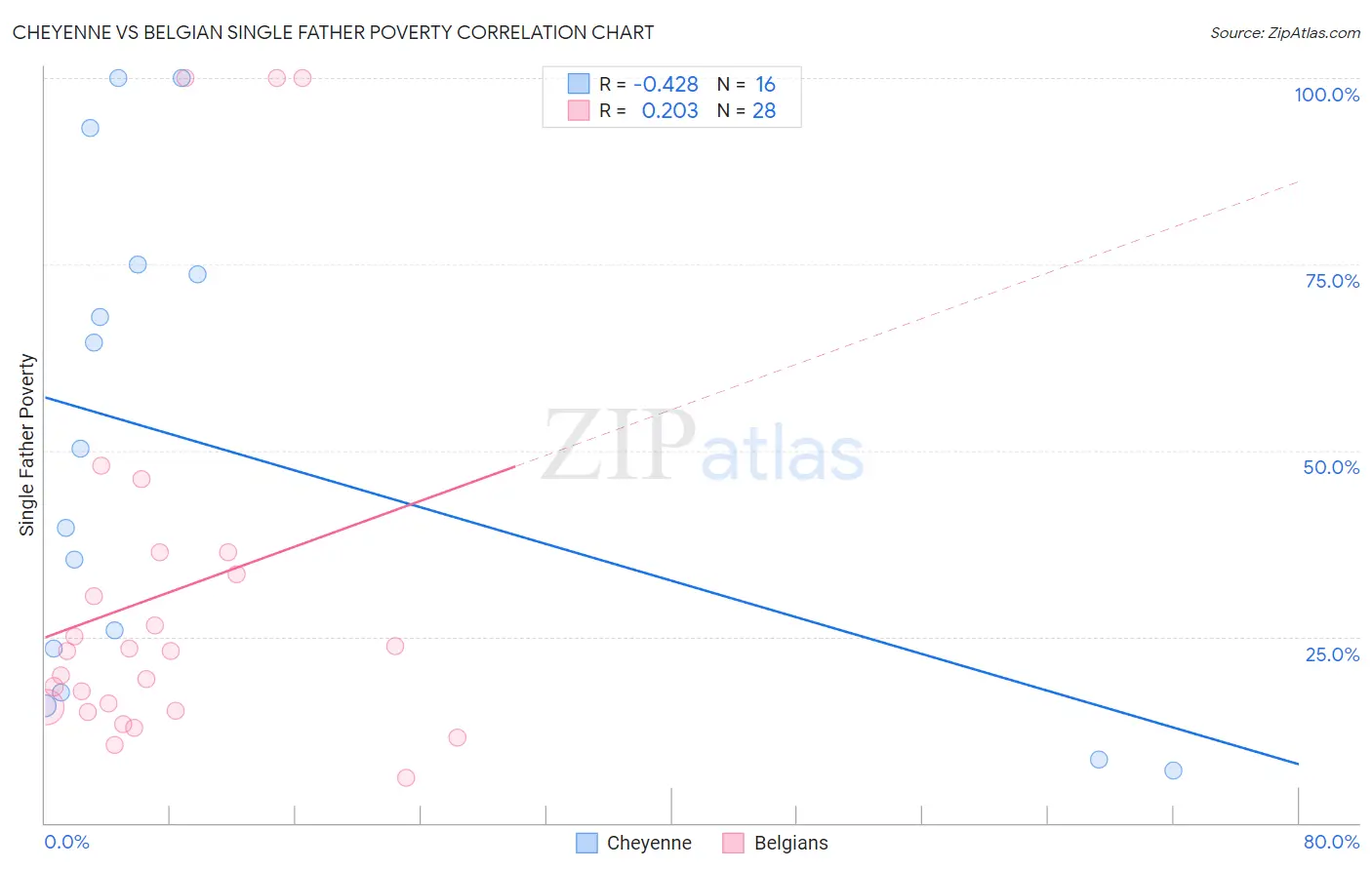 Cheyenne vs Belgian Single Father Poverty