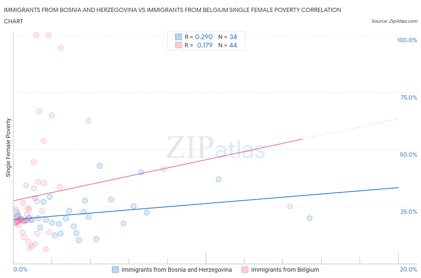 Immigrants from Bosnia and Herzegovina vs Immigrants from Belgium Single Female Poverty