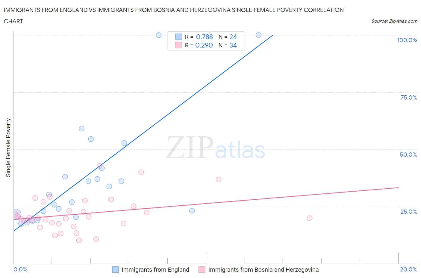 Immigrants from England vs Immigrants from Bosnia and Herzegovina Single Female Poverty