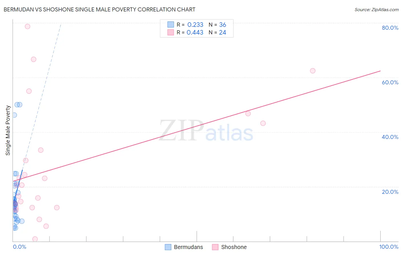 Bermudan vs Shoshone Single Male Poverty