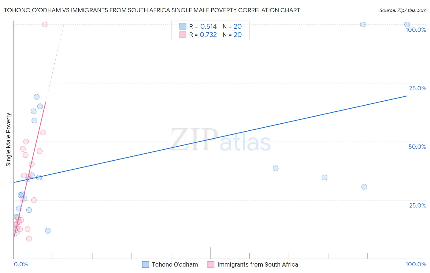 Tohono O'odham vs Immigrants from South Africa Single Male Poverty