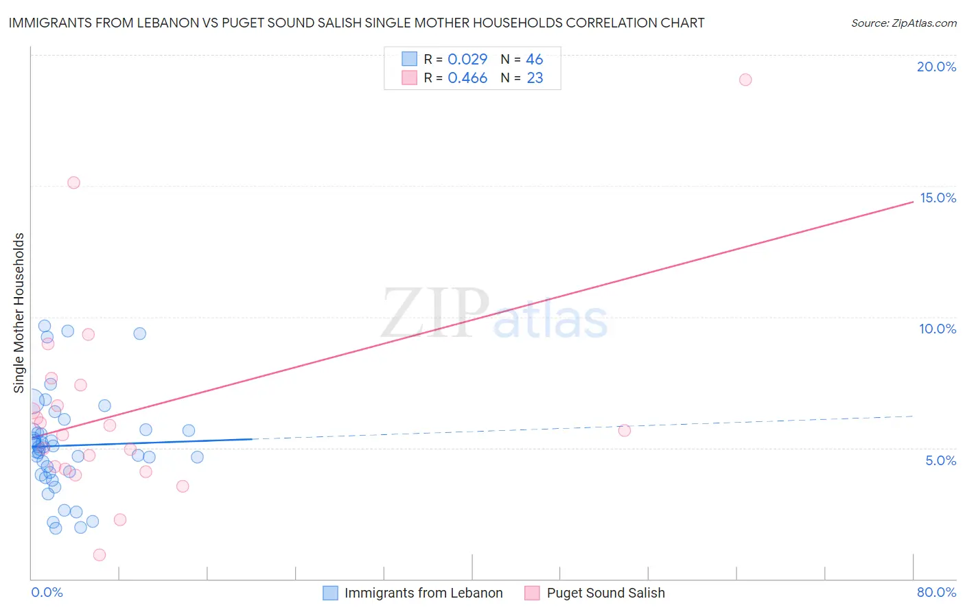 Immigrants from Lebanon vs Puget Sound Salish Single Mother Households