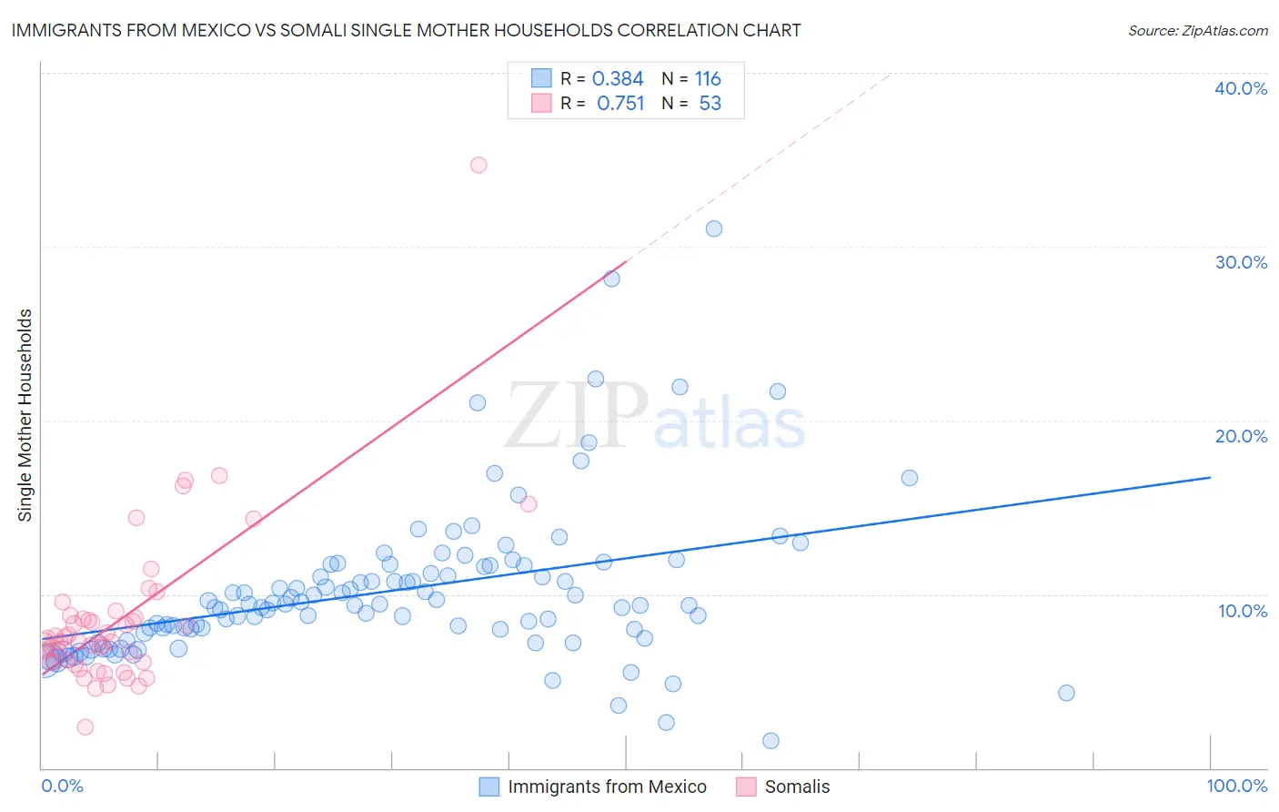 Immigrants from Mexico vs Somali Single Mother Households