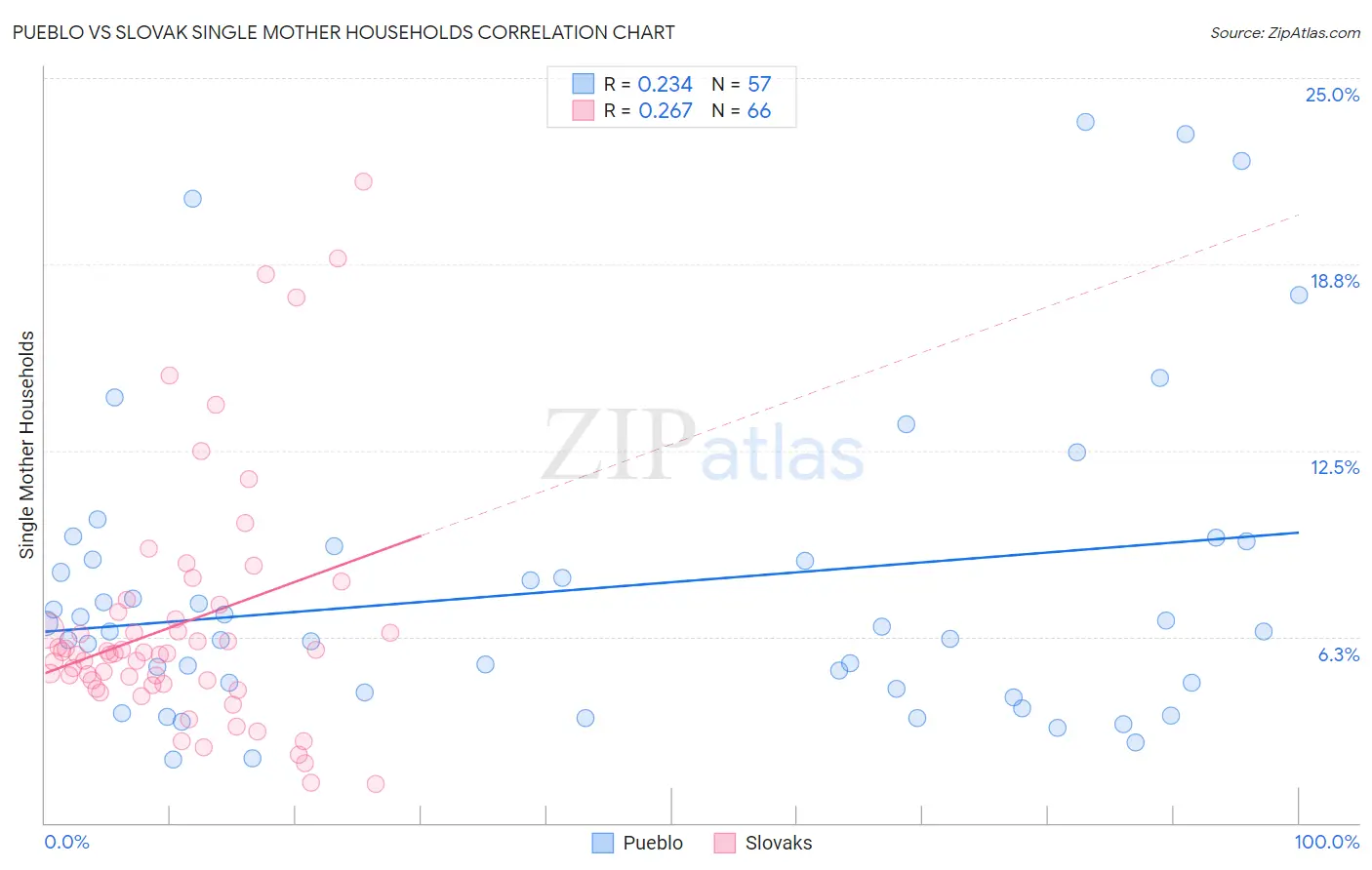 Pueblo vs Slovak Single Mother Households