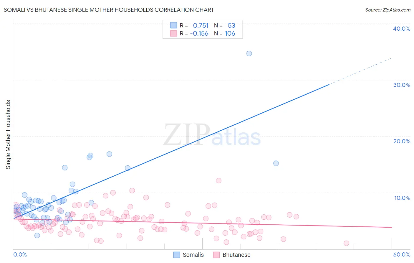 Somali vs Bhutanese Single Mother Households