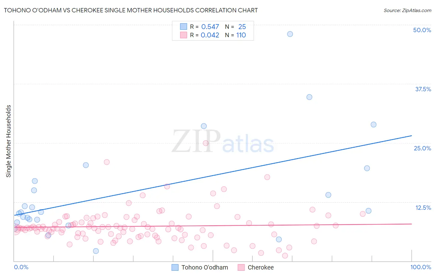 Tohono O'odham vs Cherokee Single Mother Households