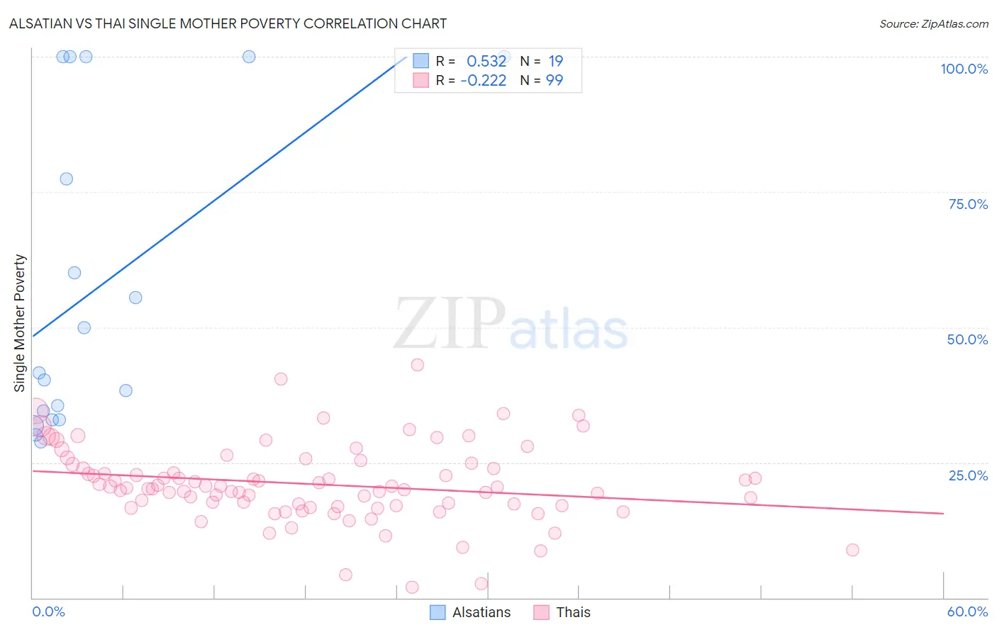 Alsatian vs Thai Single Mother Poverty