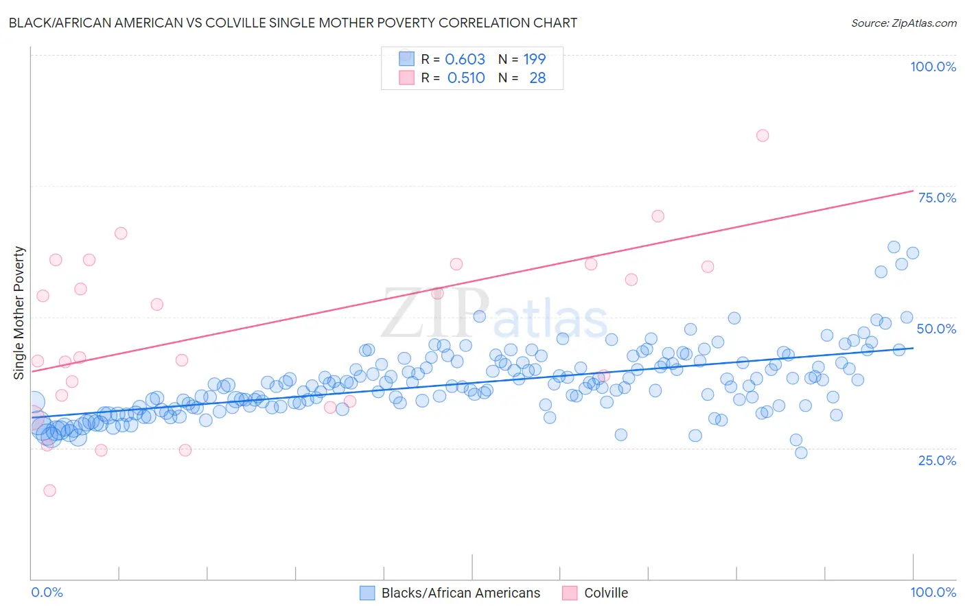 Black/African American vs Colville Single Mother Poverty