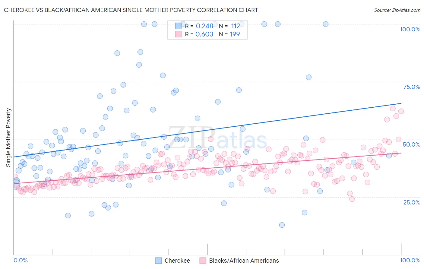 Cherokee vs Black/African American Single Mother Poverty