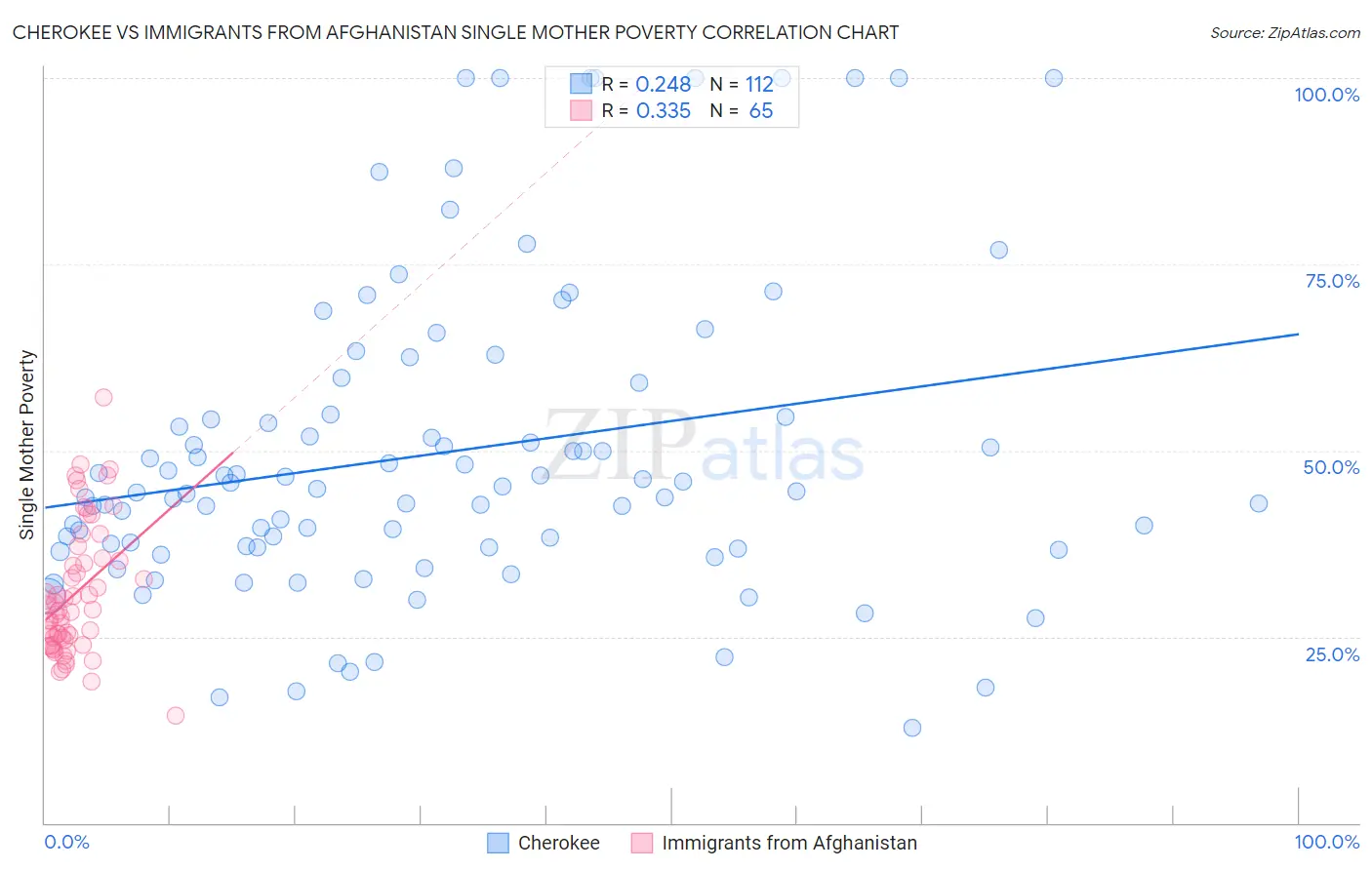 Cherokee vs Immigrants from Afghanistan Single Mother Poverty