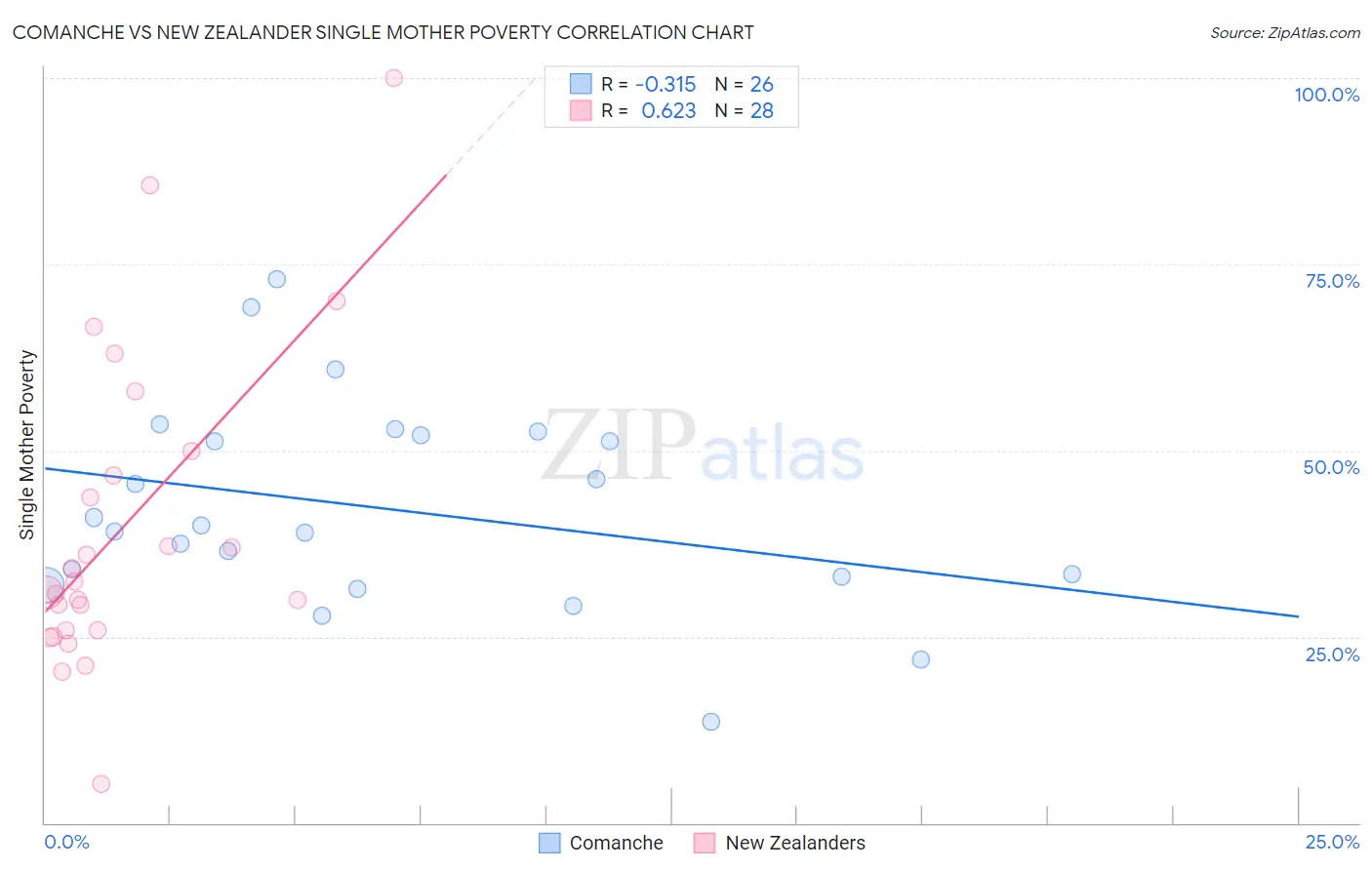 Comanche vs New Zealander Single Mother Poverty