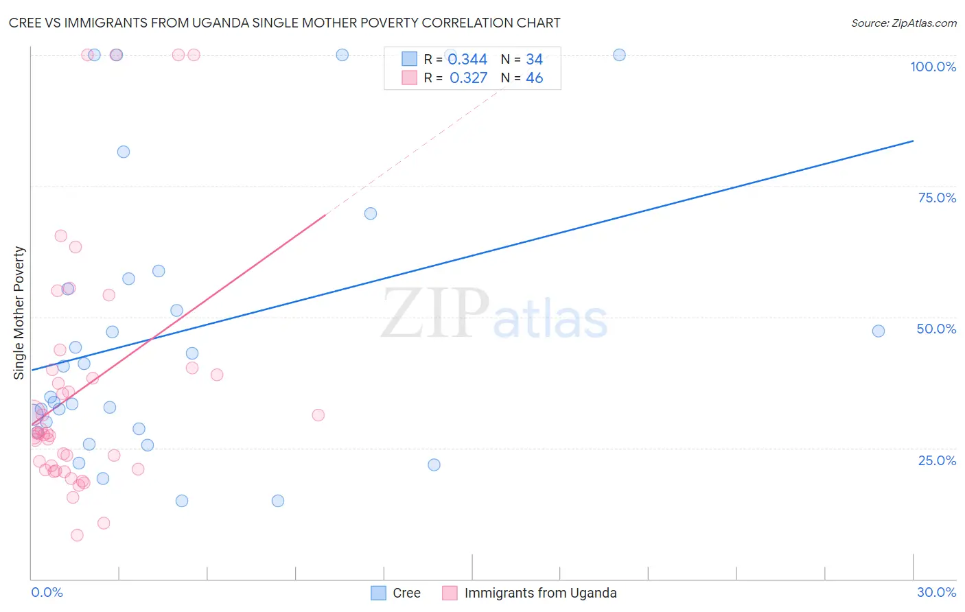 Cree vs Immigrants from Uganda Single Mother Poverty