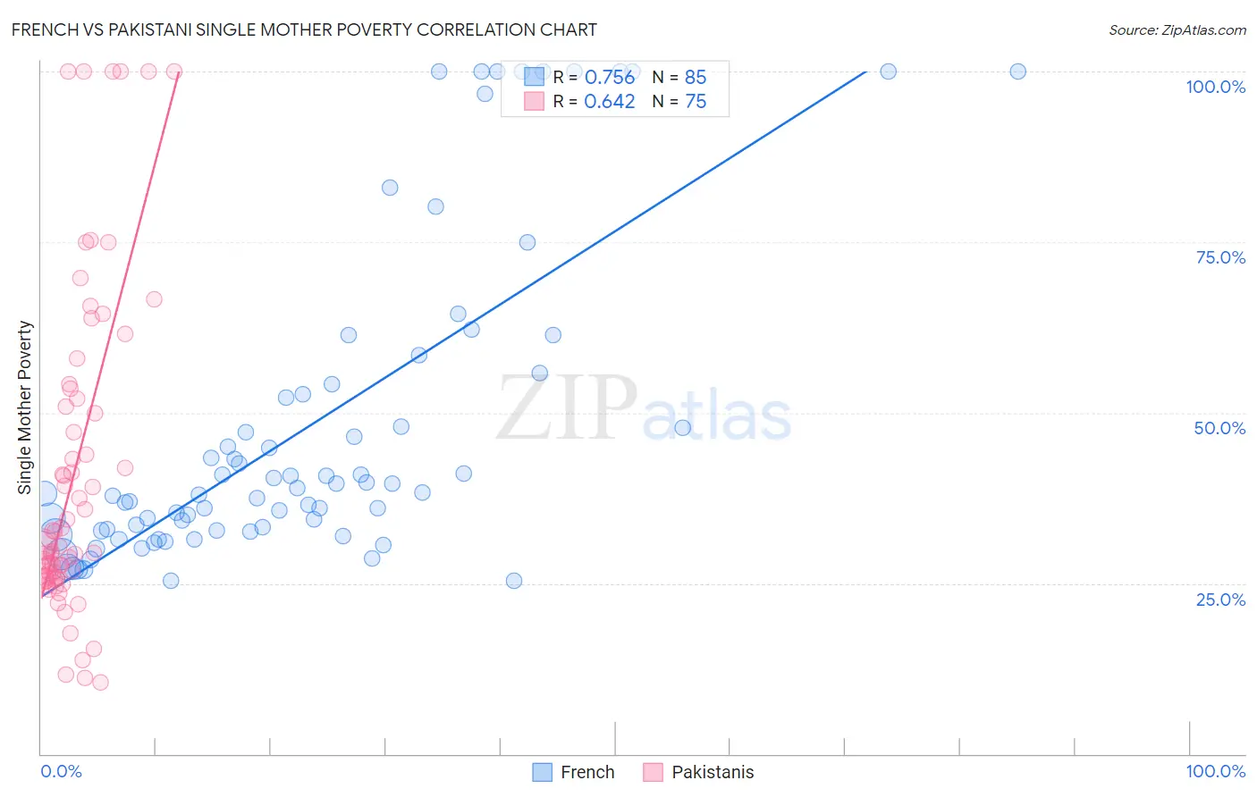 French vs Pakistani Single Mother Poverty