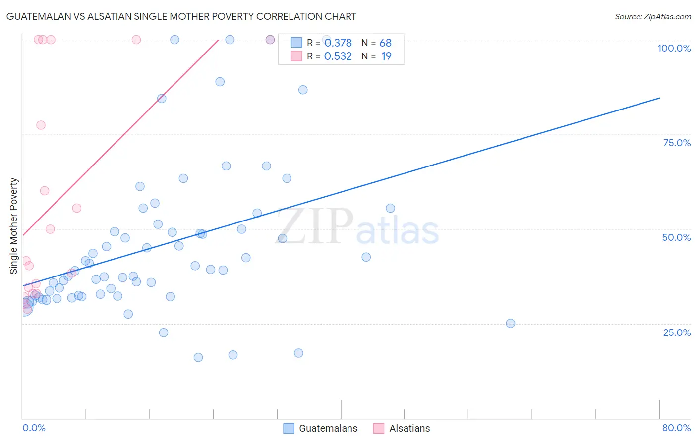 Guatemalan vs Alsatian Single Mother Poverty