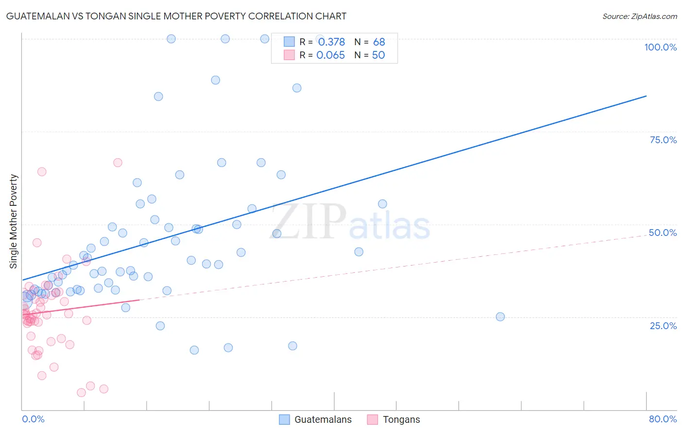 Guatemalan vs Tongan Single Mother Poverty