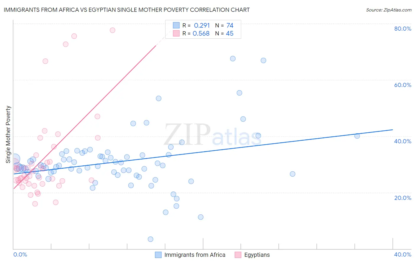 Immigrants from Africa vs Egyptian Single Mother Poverty