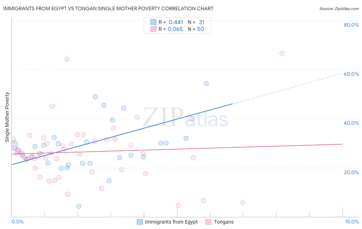 Immigrants from Egypt vs Tongan Single Mother Poverty