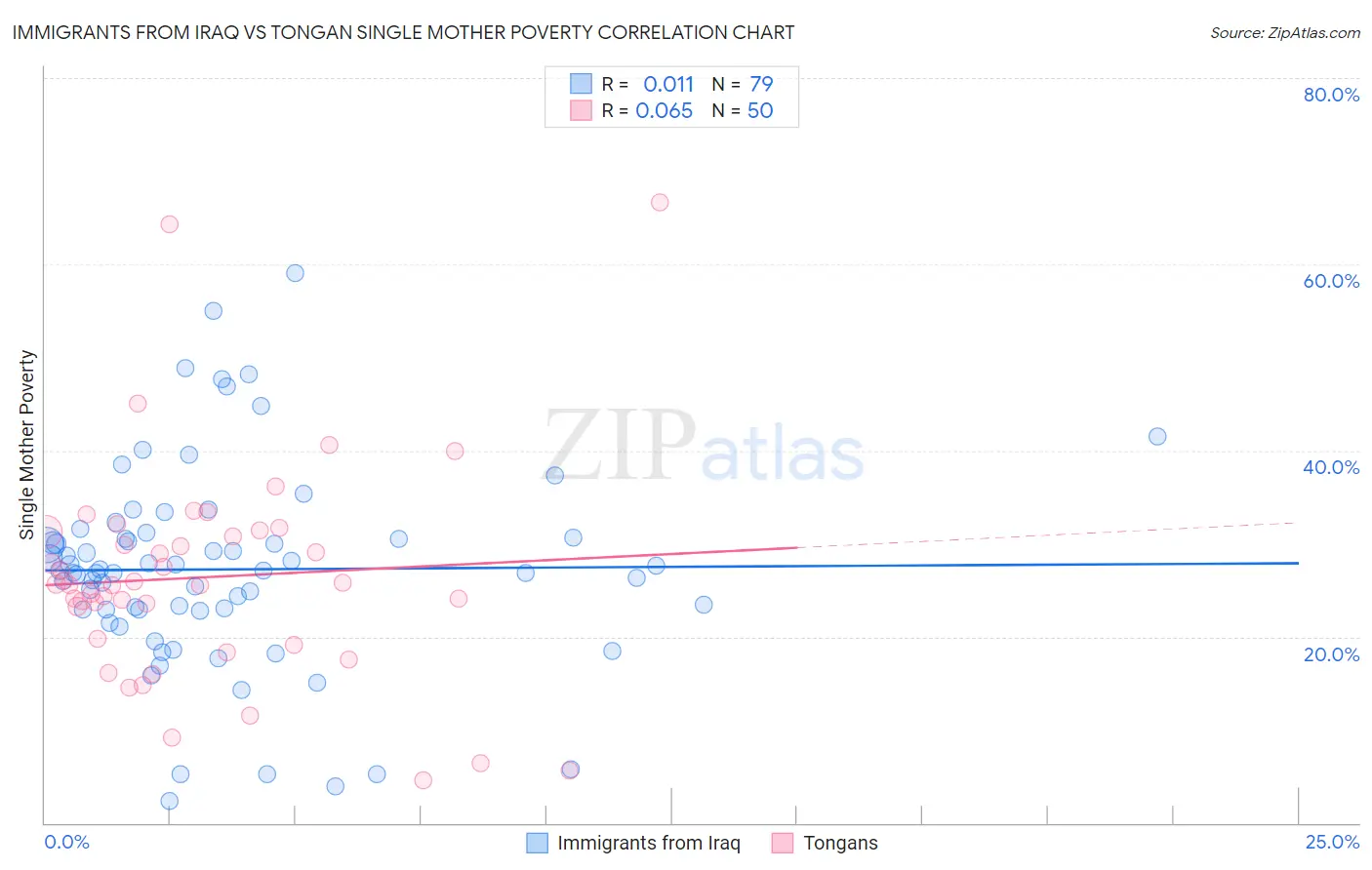 Immigrants from Iraq vs Tongan Single Mother Poverty