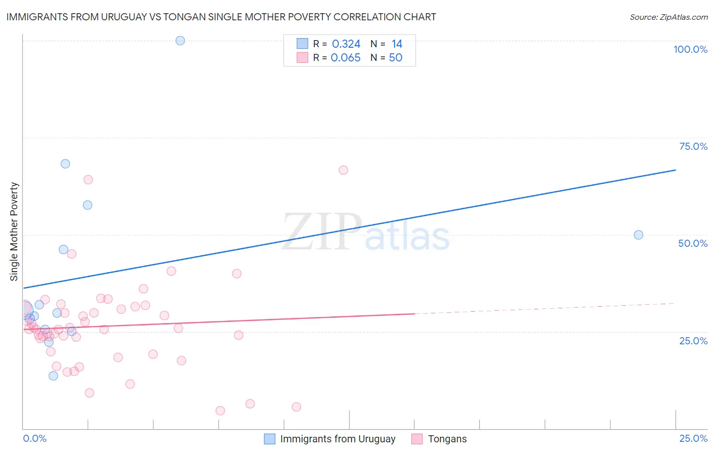 Immigrants from Uruguay vs Tongan Single Mother Poverty