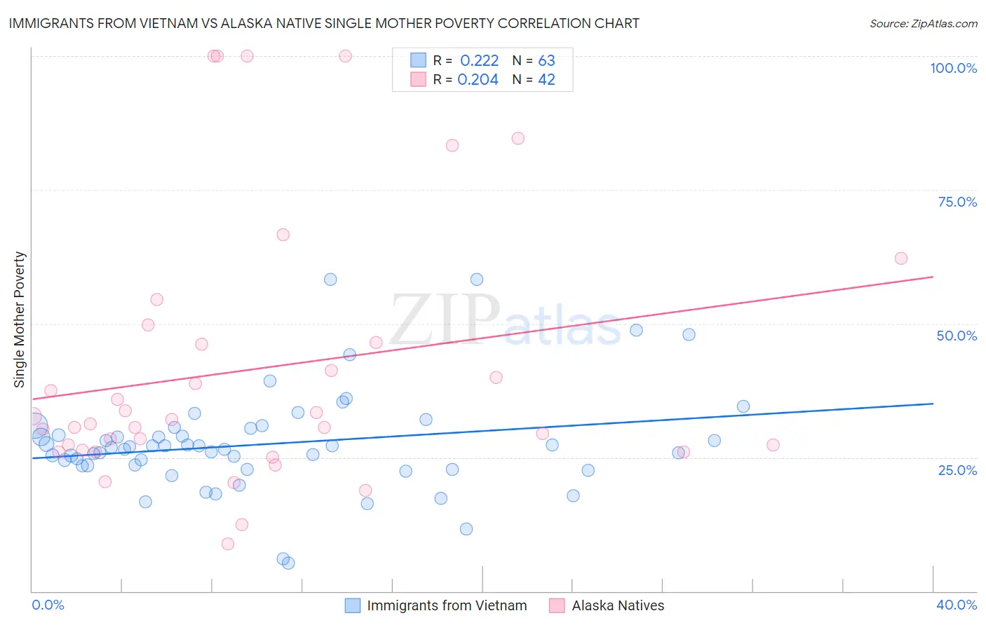 Immigrants from Vietnam vs Alaska Native Single Mother Poverty