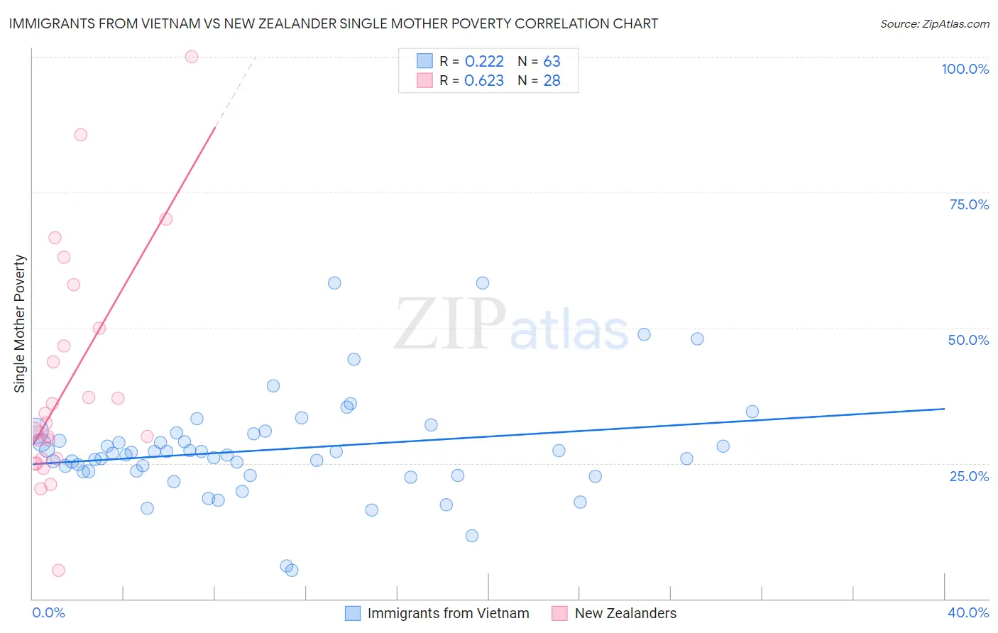 Immigrants from Vietnam vs New Zealander Single Mother Poverty